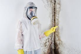 Best Attic Mold Removal  in Cullowhee, NC